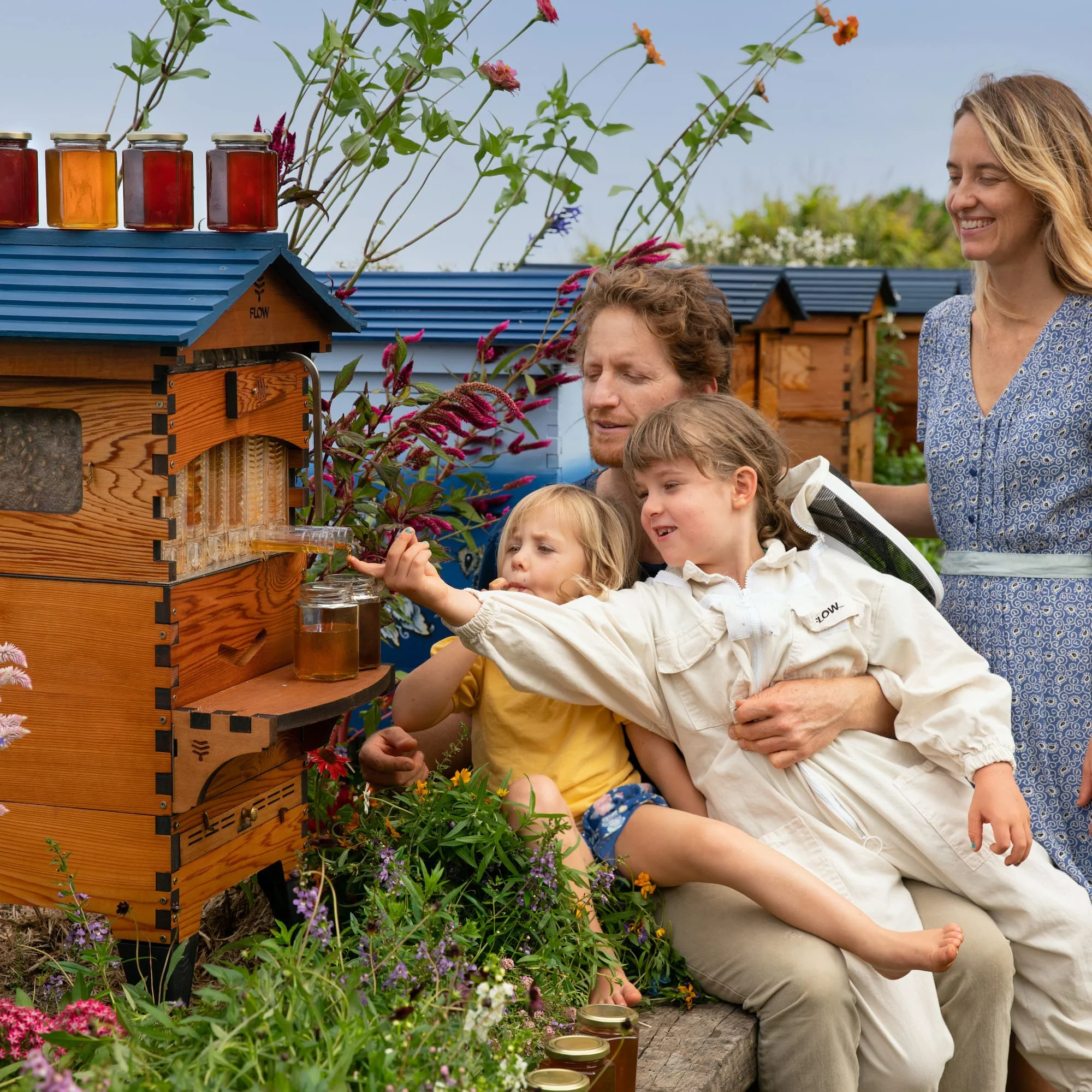 Flow Hive 2+ - Image 3