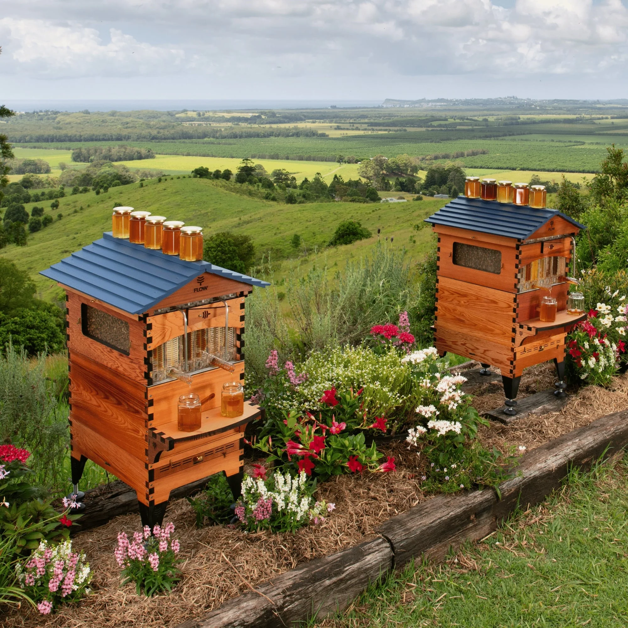 Flow Hive 2+ - Image 4